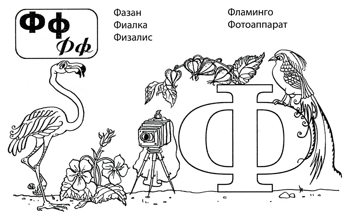Эрудированные раскраски на букву Ф